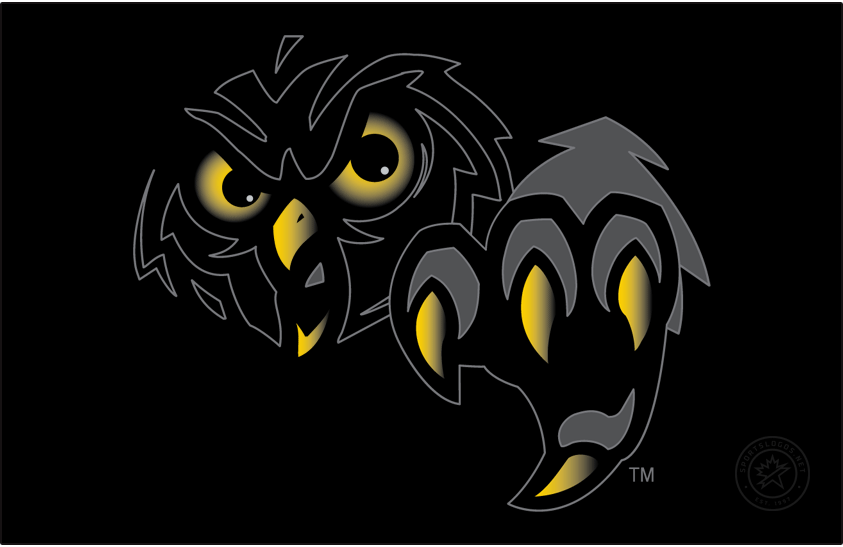 Temple Owls 1996-2014 Secondary Logo diy iron on heat transfer